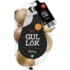 Gul lök